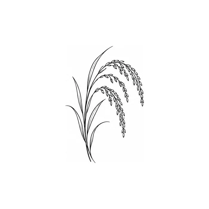 Rice Sprig, fine line flash design